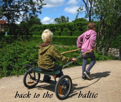 back to the baltic book cover