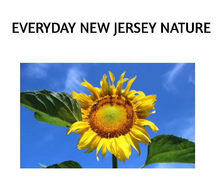 View EVERYDAY NEW JERSEY NATURE by Victoria Russo, Jeffrey Russo