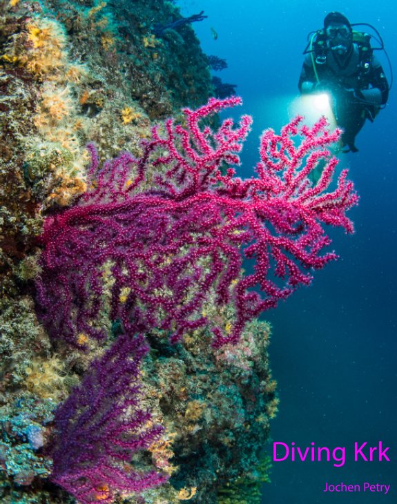 View Diving Krk by Jochen Petry