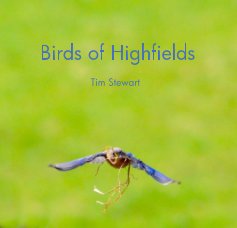 Birds of Highfields book cover