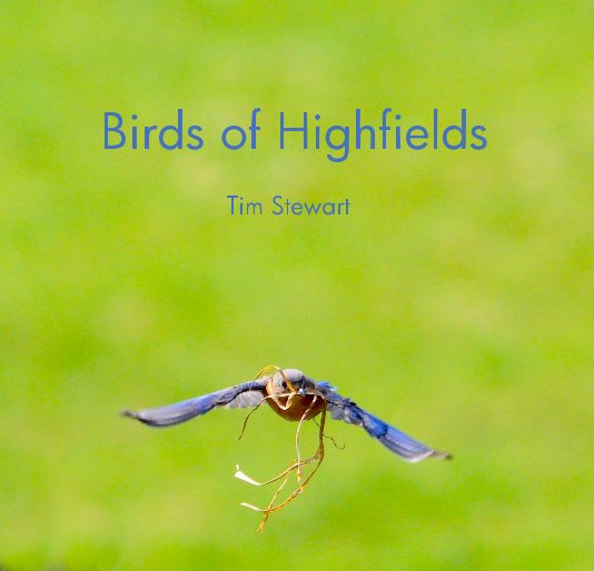 View Birds of Highfields by Tim Stewart