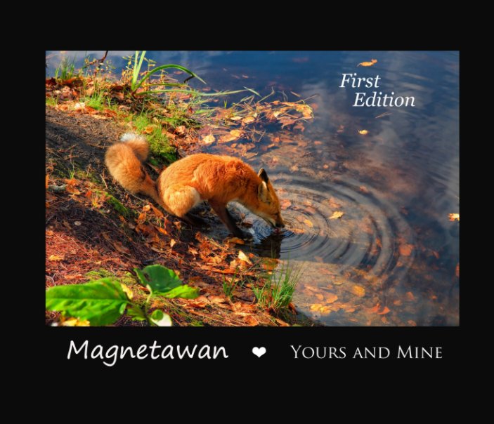 View Magnetawan Yours And Mine by Cathy Gauthier