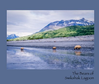 The Bears of Swikshak Lagoon book cover