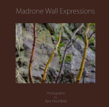 Madrone Wall Expressions book cover