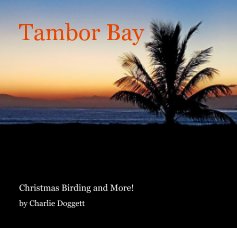 Tambor Bay book cover