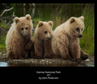 Alaska 2017 book cover