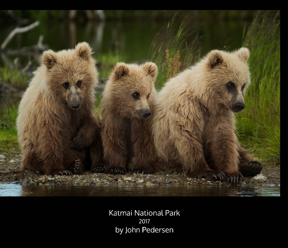 Ver Alaska 2017 por John Pedersen