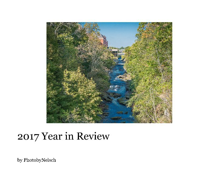 Visualizza 2017 Year in Review di PhotobyNelsch