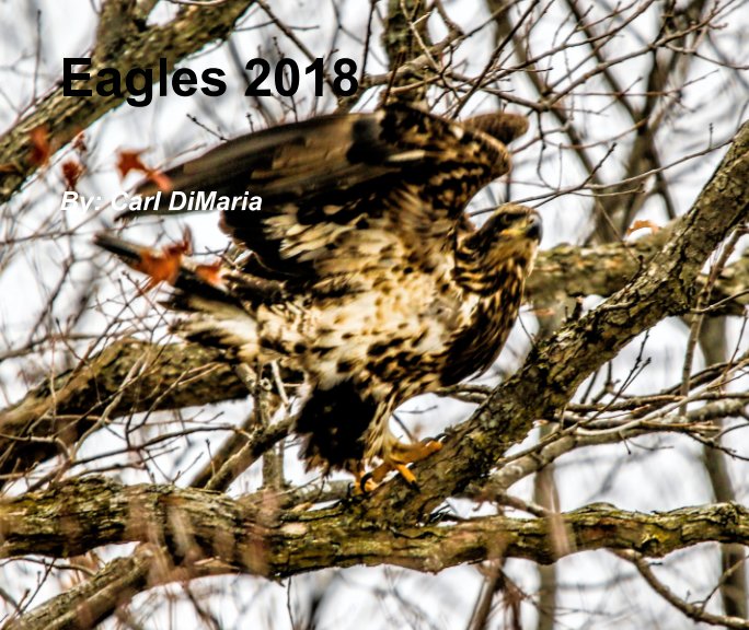 Visualizza Eagles 2018 di Carl DiMaria