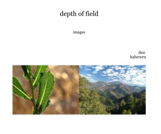 depth of field book cover