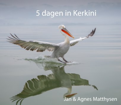 Kerkini book cover