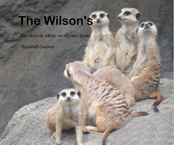 View The Wilson's by Annabell Conway