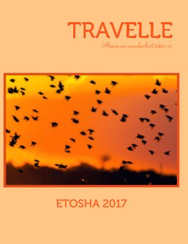 Etosha 2017 book cover