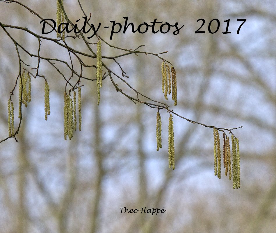 View Daily-photos 2017 by Theo Happé