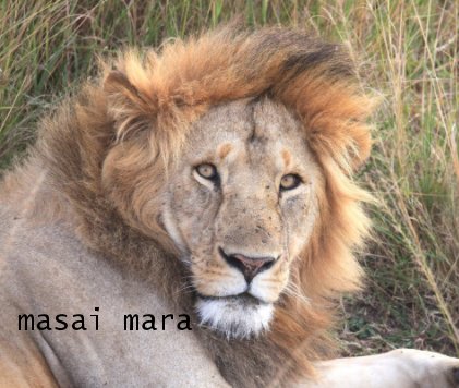 masai mara book cover