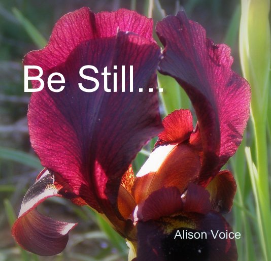 View Be Still... by Alison Voice