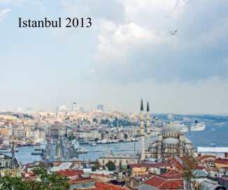Istanbul 2013 book cover