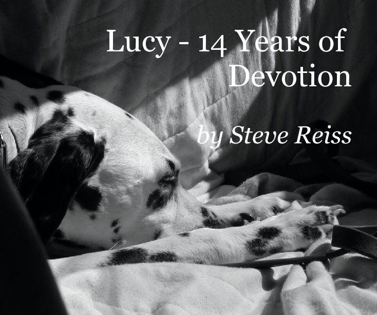 Bekijk Devotion op Steve Reiss