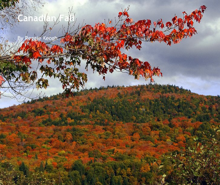 View Canadian Fall by Reggie Keogh