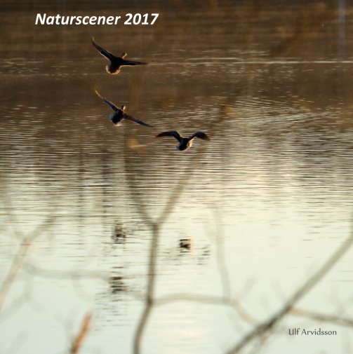 View Naturscener 2017 by Ulf Arvidsson