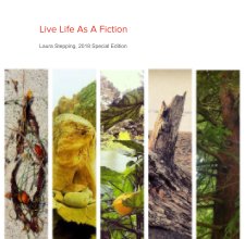Live Life As A Fiction book cover