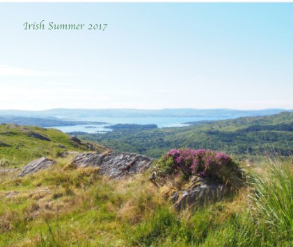 Irish Summer 2017 book cover