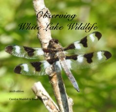 Observing White Lake Wildlife book cover