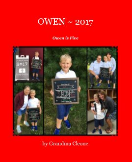 OWEN ~ 2017 book cover