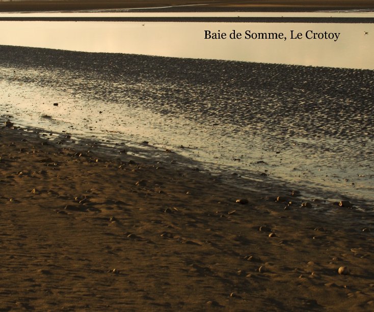 Visualizza Baie de Somme, Le Crotoy di Madeleine Bourgeois