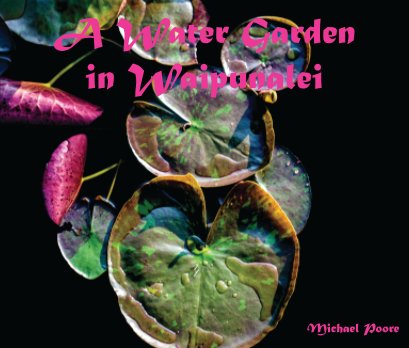 A Water Garden in Waipunalei book cover