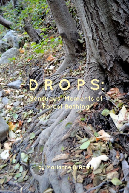 View Drops: by Marianne B. Rowe