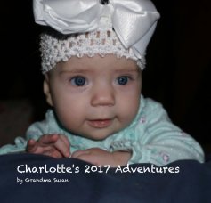 Charlotte's 2017 Adventures book cover
