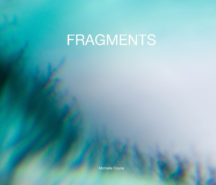 View FRAGMENTS by Michelle Coyne