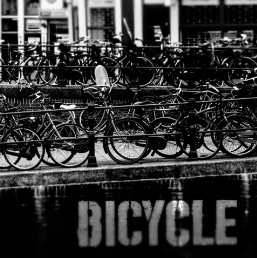 View Bicycle by Senia Ferrante