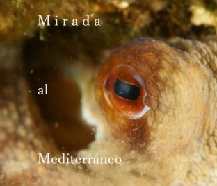 Mirada al Mediterráneo book cover