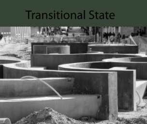 Transitional State book cover