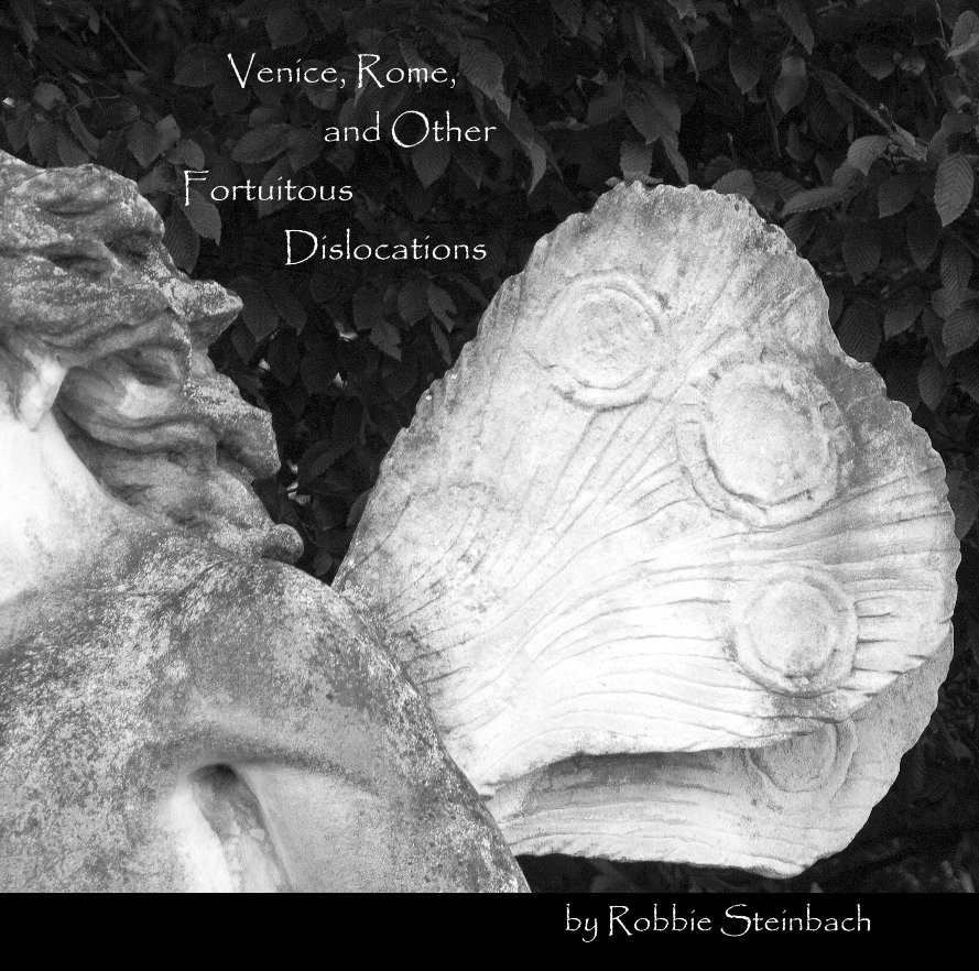 View Venice, Rome, and Other Fortuitous Dislocations by Robbie Steinbach