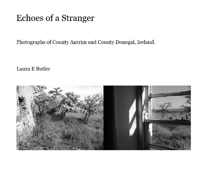 View Echoes of a Stranger by Laura E Butler