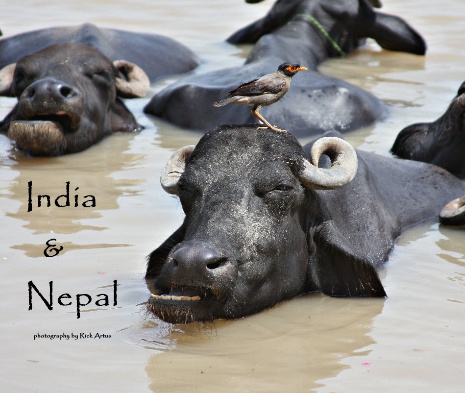 Ver India & Nepal por Rick Artus