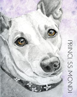 Princess Mondi book cover