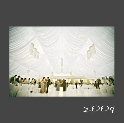 2009 weddings book cover