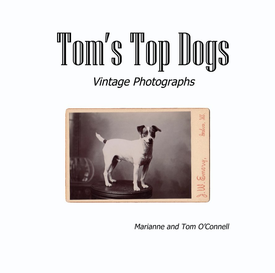Ver Tom's Top Dogs por Marianne & Tom O'Connell