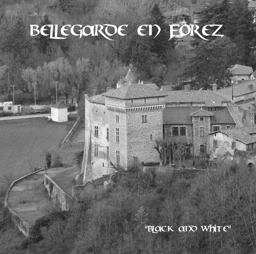 View Bellegarde en forez by "Black and White"