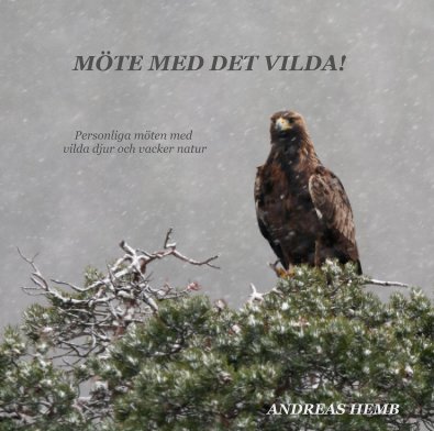 MöTE MED DET VILDA! book cover