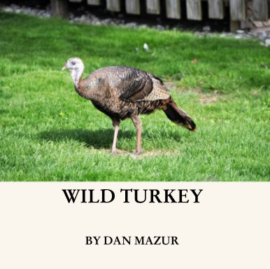 Wild Turkey book cover