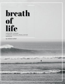 Breath of Life book cover