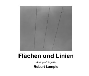 Flächen und Linien book cover