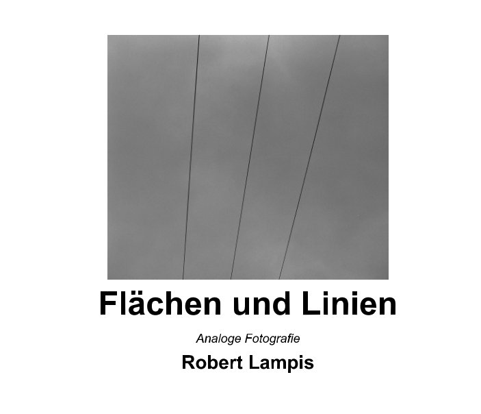 View Flächen und Linien by Robert Lampis