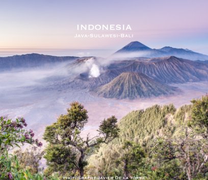 Indonesia book cover