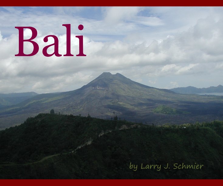 Ver Bali por Larry J. Schmier